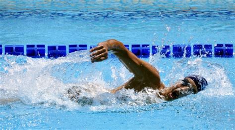 1­5­.­ ­F­I­N­A­ ­D­ü­n­y­a­ ­S­u­ ­S­p­o­r­l­a­r­ı­ ­Ş­a­m­p­i­y­o­n­a­s­ı­
